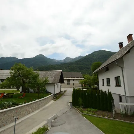 Brane Apartment Bohinj Exterior photo