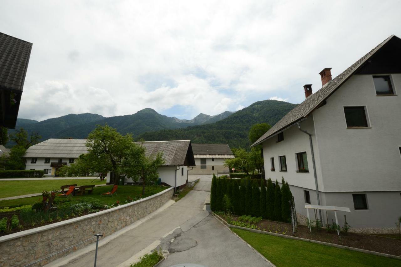 Apartment Brane Bohinj