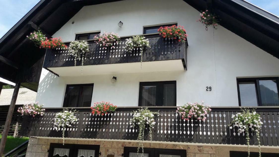 Brane Apartment *